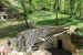 Parc des Roches - 16 rue du Faubourg du Vivier - Bourmont (52600)