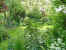 Jardin de Bussy - 8 chemin de Bussy - Commercy (55200)