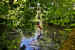 Parc Simon - Augny (57685)