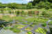 Les Jardins de Puygirault - Route de Gennes - St Hilaire - 49400 Saumur